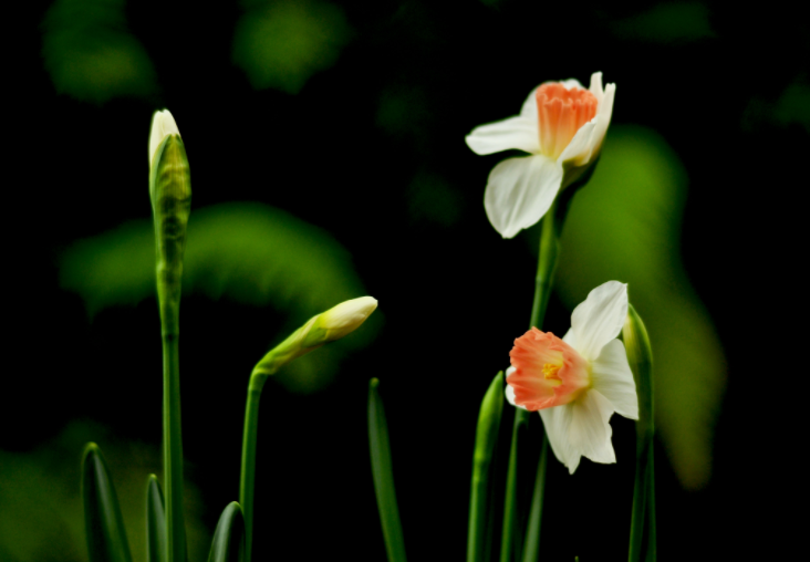 大家都做生態(tài)文明建設(shè)的實(shí)踐者、推動(dòng)者（生態(tài)論苑）