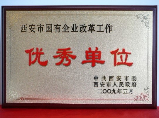 2009年5月，被西安市委、市政府評(píng)為西安市國(guó)企業(yè)改革工作優(yōu)秀單位