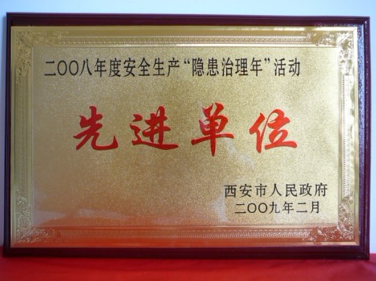 2009年2月，被西安市人民政府評(píng)為2008年度安全生產(chǎn)“隱患治理年”活動(dòng)先進(jìn)單位