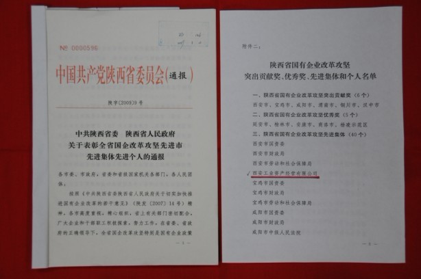 2009年2月，被陜西省委、省政府授予陜西省國(guó)有企業(yè)改革攻堅(jiān)先進(jìn)集體