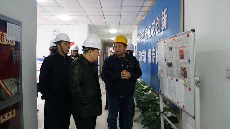 集團領導金輝帶隊赴標準電梯、標準熱處理進行工作調(diào)研